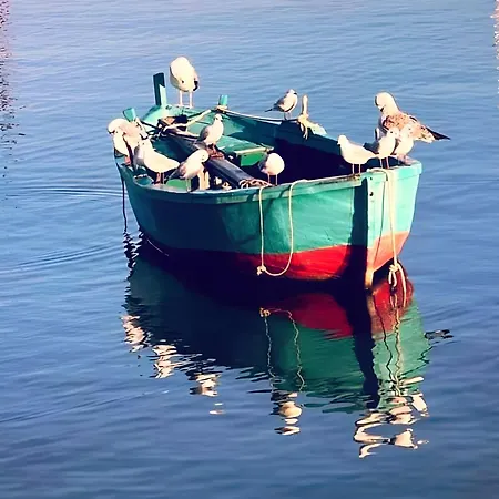 Xi Il Mare A Due Passi