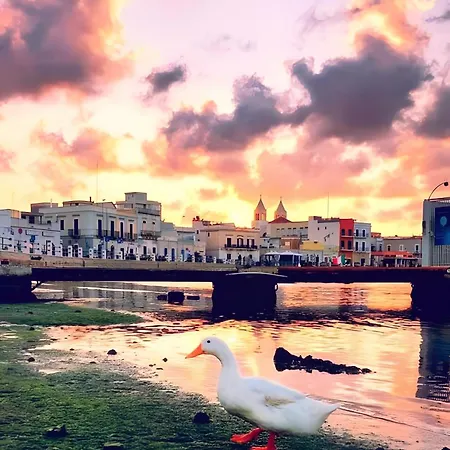 Holiday home Xi Il Mare A Due Passi Bari