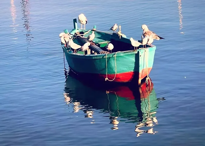 Xi Il Mare A Due Passi