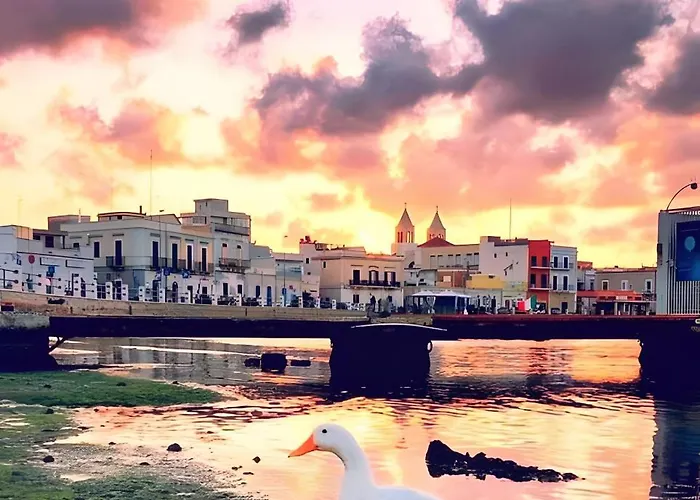 Xi Il Mare A Due Passi